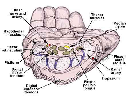 Median Nerve Block Pain Management