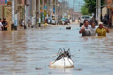 Ciclón Yaku Cómo prevenir la propagación y contagio del dengue