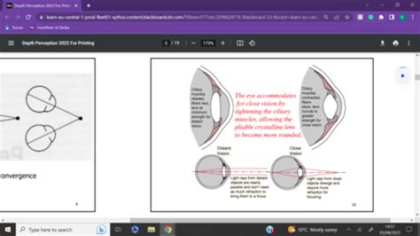 Week 6 Depth Perception Flashcards Quizlet