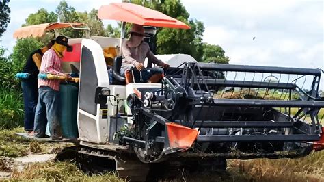 Cool And Powerful Agricultural Machines Harvesting Rice Kubota