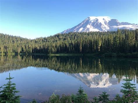 Reflection Lakes Mount Rainier National Park 2020 All You Need To