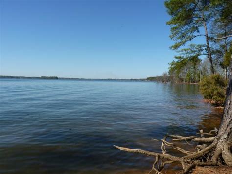 Fisherman At Dam Intake Towers Lake Murray October 2014 Picture Of