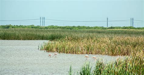 Dyk Stormwater Treatment Areas Work To Restore Water Quality In The