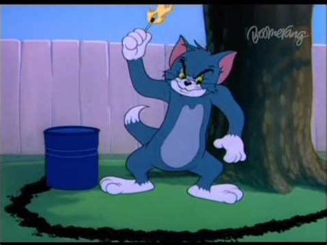 Boomerang Cartoon Network Tom And Jerry