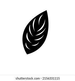 Black Leaf On White Background Nature Stock Vector (Royalty Free) 2156331115 | Shutterstock