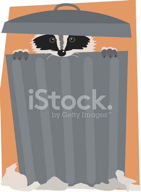 Raccoon In A Trash Can Stock Photo | Royalty-Free | FreeImages