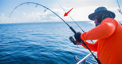 Everything You Must Know About Saltwater Fishing Rods