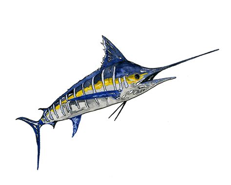 Striped Marlin Print Printable Printable Coastal Wall Art Etsy