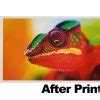 Eco Solvent Heat Transfer Vinyl For Sale Prime Pick USA