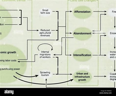 Ecosistemas Y Bienestar Humano La Biodiversidad De Los Ecosistemas Y