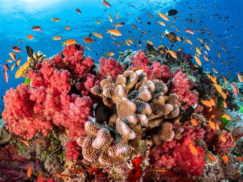 Top 10 Island Cities -- National Geographic Travel | National Geographic