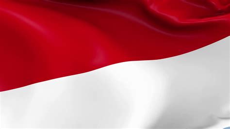 Indonesia Waving Flag Background Loop Stock Motion Graphics Sbv