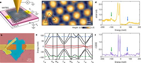 Spectroscopic Signatures Of Many Body Correlations In Magic Angle Twisted Bilayer Graphene