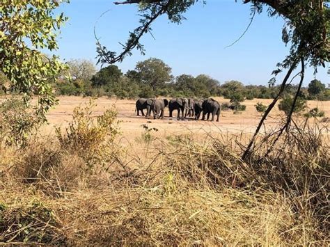 Sanparks Skukuza Rest Camp Kruger National Park Book Your Dream Self