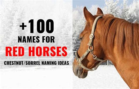 Red Horse Names for Chestnut Mares, Stallions & Geldings - Petnamee