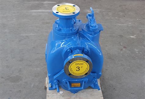 Self Priming Sewage Pump Tx Th Series Trash Pump Defu