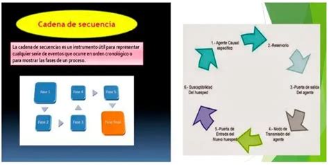 Tipos De Organizadores Gr Ficos Creativos