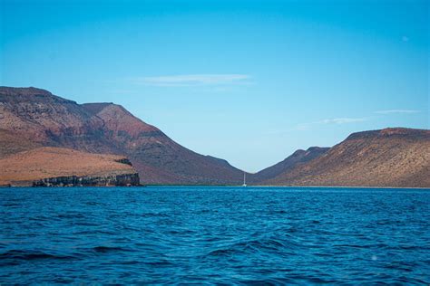 Espiritu Santo Island - Cabo Trek