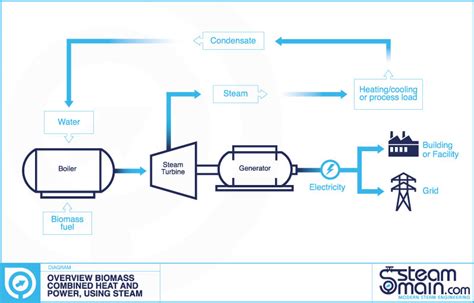 Steam And Condensate System Explanation From The Steam Boiler Onward