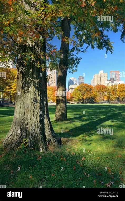 Manhattan Midtown Skyline Viewed From Central Park In Autumn In New