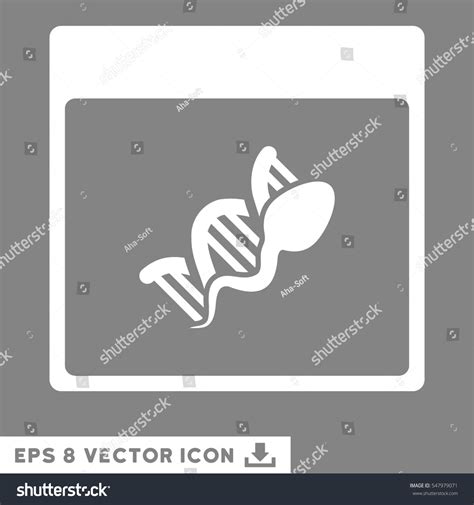 Sperm Dna Replication Calendar Page Icon Stock Vector Royalty Free 547979071 Shutterstock