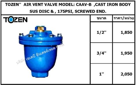 Tozen Air Vent Valve Model Caav B Cast Iron Body Akbintertrade