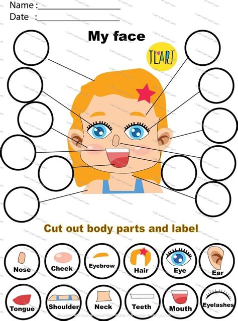 My Face Parts Labelling Activity Early Year Nursery Ks1 Teaching Key Stage Match Card Home