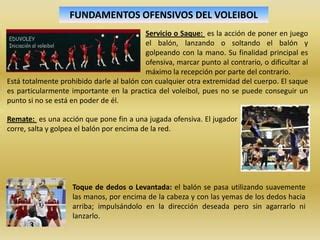 Wander Pereira Fundamentos Ofensivos O Defensivos Del Voleibol Ppt