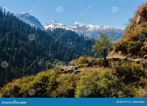 Valley in Himalayan Mountains Coverd with Forest in Sunshine Stock Photo - Image of landscape ...