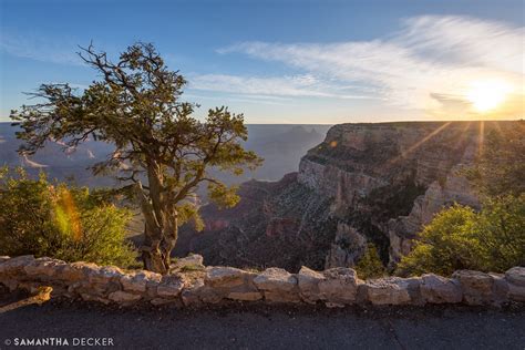 South Rim Trail Rim Trail Grand Canyon Village Az Usa Sunrise