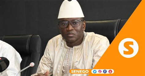 Production oignon au Sénégal Senego Actualité au Sénégal toute