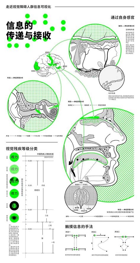 Information Visualization Data Visualization Information Graphics