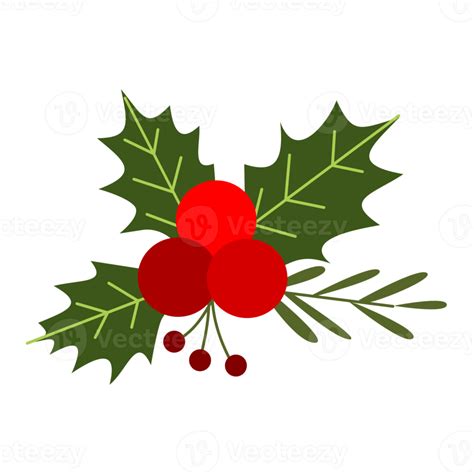 Christmas Wreath Ornament Illustration Png