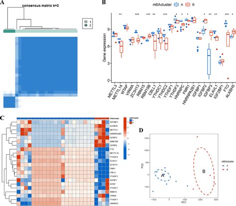 Consensus Clustering Of Degs Of M A Regulators A Consensus Matrix