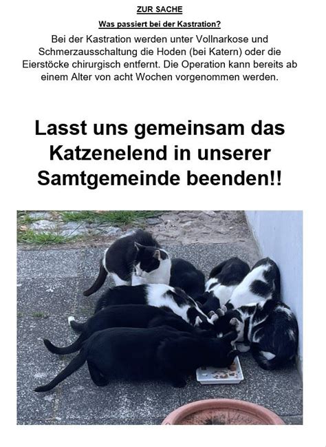 Katzenschutzverordnung