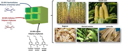 Scielo Brasil The Chemical Conversion Of Biomass Derived Saccharides An Overview The