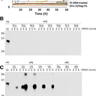 The Effect Of TC 5RW On Seeding Activity Of PrPSc From Various Human