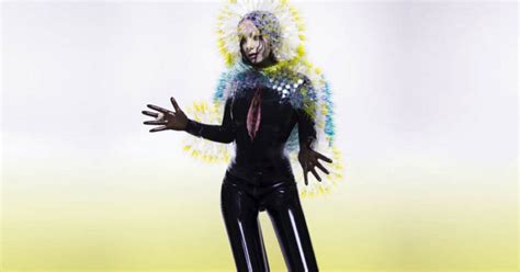 The internet's reaction to Bjork's new album Vulnicura | Huck