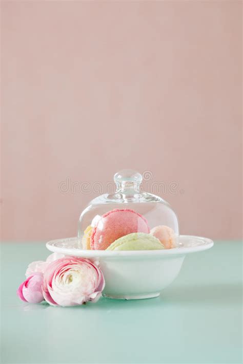 French Macaron, the Famous Pastry Stock Photo - Image of gourmet, brown ...