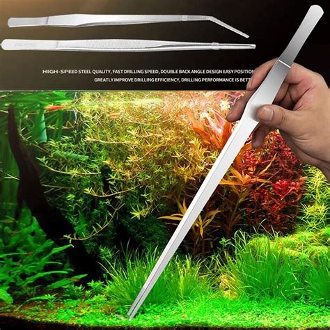 Pince Piler En Acier Inoxydable Pour Aquarium Super Optique Sites