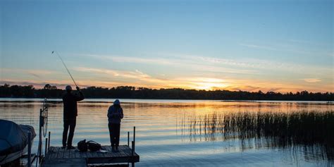 Discover The Best Bait For Striper Fishing Success! » TheNatureInsider