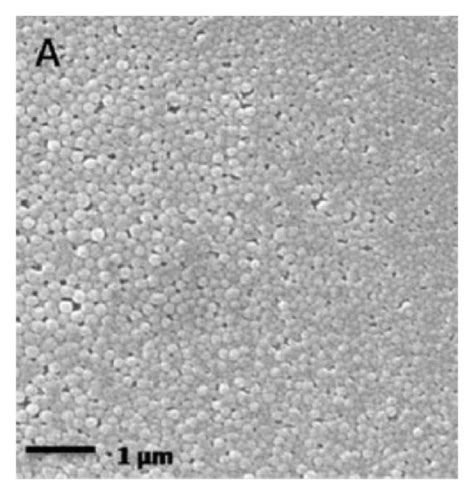 A Preparation Of Plga Nanoparticles By Use Of A Microfluidic