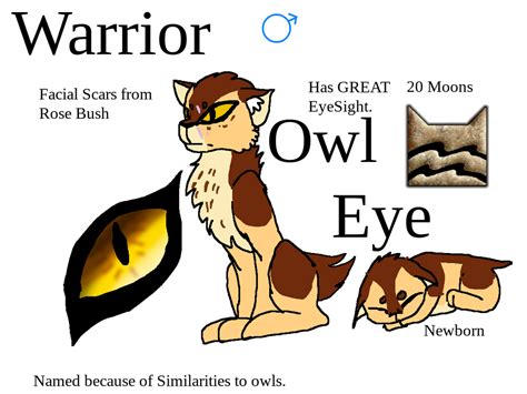 Heres My Warrior Cat Oc By Tododekulover2000 On Deviantart