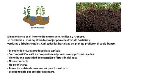 💡 Ventajas y desventajas de suelo franco arenoso - proscont.com