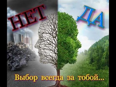 ПАН110 Выращивание триходермы из биогумуса. Субстрат червей и ...