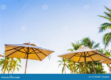 Beautiful Tropical Nature Umbrella Chair With Palm Tree Around Beach