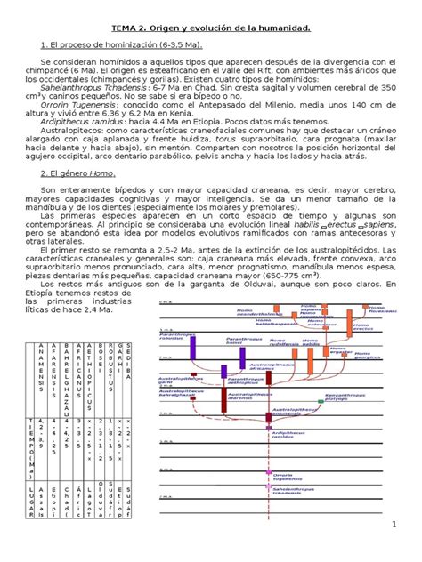 Pdf Resumen Tema Prehistoria Uned Dokumen Tips