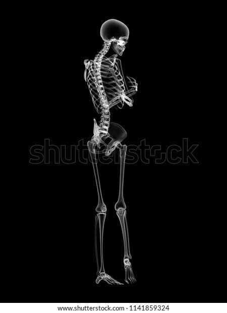 X Ray Human Body 3d Render Stock Illustration 1141859324 Shutterstock