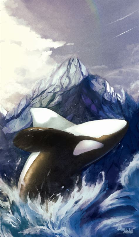 My whale drawing of a orca : r/whales