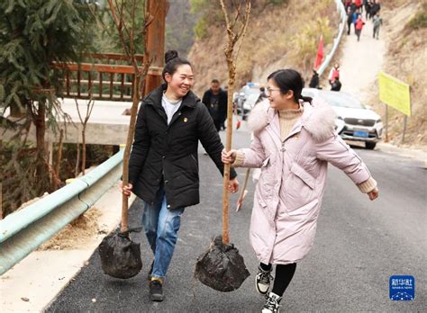 贵州：义务植树为大地添绿 新华网